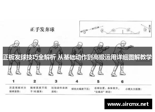 正板发球技巧全解析 从基础动作到高级运用详细图解教学